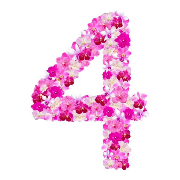 Алфавіту номер чотири з квітки орхідеї ізольованим на білому з — стокове фото