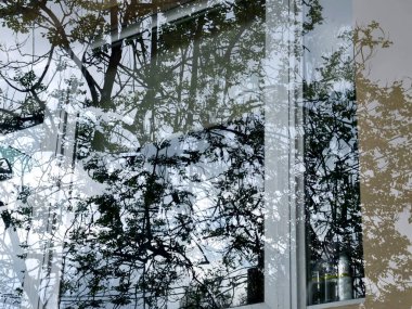 Ağacı olan bir evin penceresi