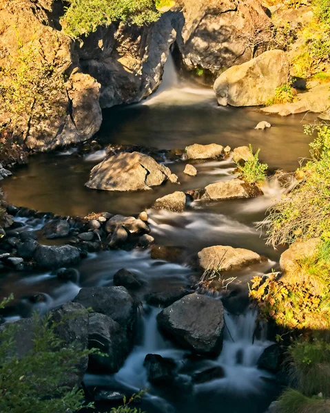 Montgomery Creek Tombe Dans Une Piscine Puis Cascade Sur Les — Photo