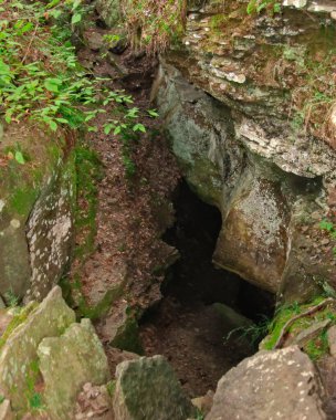 Dünya, Arkansas 'taki Devils Den eyalet parkında bir mağaraya girebilmek için açılıyor..