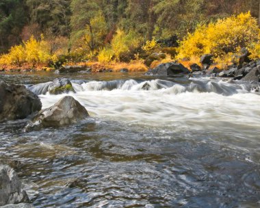 Sonbaharın parlak sarısı kıyıda süzülürken, kayaların üzerinde çağlayan sular..
