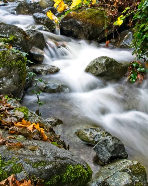 Des Feuilles Jaunes Automne Entourent Une Petite Cascade Sur Ruisseau — Photo