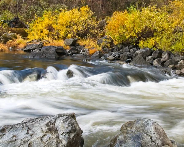 Amarelo Brilhante Outono Dominar Margens Como Cascatas Rio Trindade Grandes — Fotografia de Stock