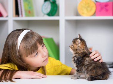 Şirin yavru kedi kız