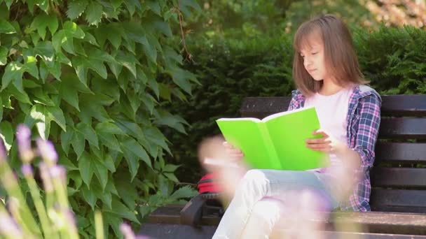 Girl reading book — Stock Video