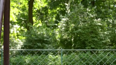 Zincir sallanır gurl