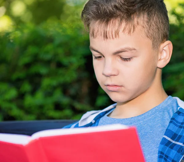Teen ragazzo lettura libro — Foto Stock