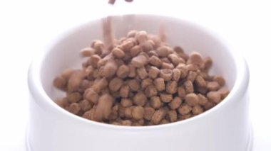 Ağır çekim. Yavru kediler ya da yavrular için kuru yiyecekler beyaz arka plandaki büyük beyaz kaseye dökülür. Evcil hayvanlar besleniyor