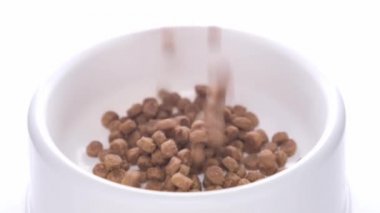 Ağır çekim. Yavru kediler ya da yavrular için kuru yiyecekler beyaz arka plandaki büyük beyaz kaseye dökülür. Evcil hayvanlar besleniyor