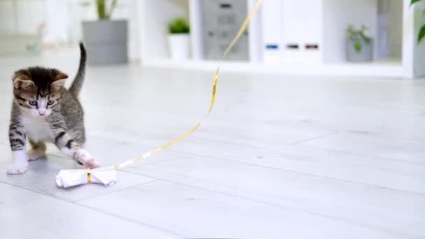 Смугастий кошеня грає з паперовим бантом на струні в сучасному інтер'єрі будинку. кіт стрибає роблячи смішну позу. Кітті ловить іграшку з лапами. Повільний рух — стокове відео