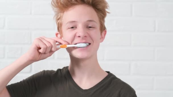 Diş fırçasıyla gülümseyen kızıl saçlı genç çocuk portresi. Genç bir çocuk beyaz arka planda dişlerini fırçalıyor. Sağlık, diş sağlığı... — Stok video