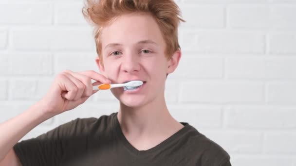 Портрет улыбающегося рыжеволосого подростка с зубной щеткой. Подросток чистит зубы на белом фоне. Здравоохранение, гигиена зубов — стоковое видео