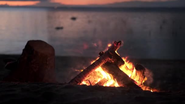 4k Костер горит в лесу осенью, пламя палки и угли в огне близко на песчаном пляже в вечернюю ночь — стоковое видео
