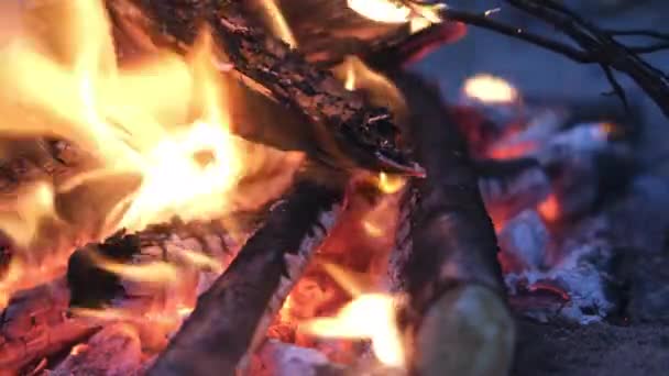 4k Lagerfeuer brennt im Wald Herbst, Flammenstäbe und Kohlen in Feuer in Nahaufnahme am Sandstrand in der Nacht — Stockvideo