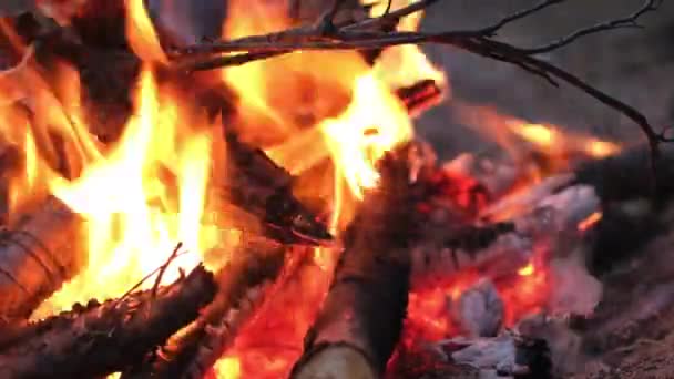 4k Hoguera ardiendo en el bosque otoño, llama palos y carbones en el fuego de cerca en la playa de arena en la noche — Vídeos de Stock