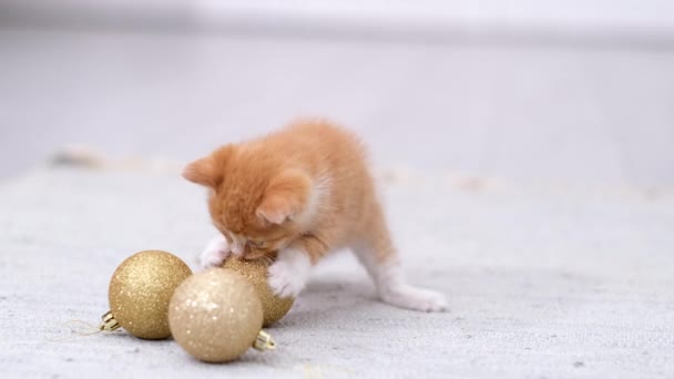 4k Рыжий маленький любопытный полосатый котенок играет с золотым рождественским мячом дома на сером полу. Кот толкает и ловит мяч лапами. Медленное движение — стоковое видео