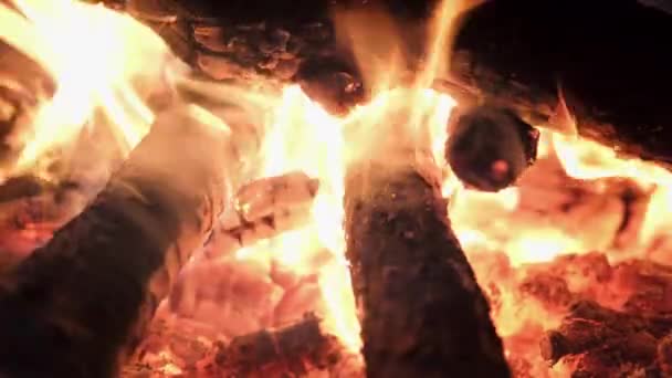 4k秋天的森林篝火熊熊燃烧，夜晚的沙滩上燃烧着火把和煤 — 图库视频影像