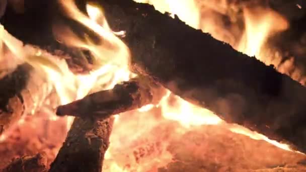 4k Bonfire branden in het bos herfst, vlam stokken en kolen in brand close-up op zandstrand in de avond nacht — Stockvideo