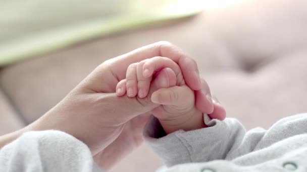 4k Yeni Doğmuş Bebek El Ele Tutuşan Anne, Anne minicik ellerine dokunarak ona sevgisini hissettirdi, sıcak ve güvenli. Annelik, aile, doğum kavramı — Stok video