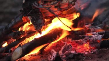4k Şenlik ateşi ormanda sonbaharda yanıyor, alev çubukları ve kömürler gece kumsalda kapanıyor.