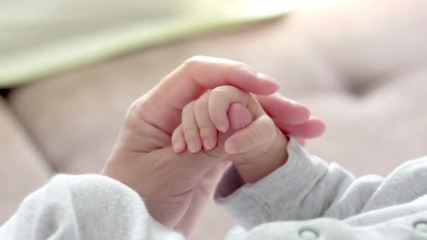 4k Noworodka Ręcznie Trzymając Matkę, Mama Dotykając Dziecko Mała Ręka, Aby Poczuć Jej Miłość, Ciepły I Bezpieczny. Macierzyństwo, rodzina, koncepcja urodzenia — Wideo stockowe