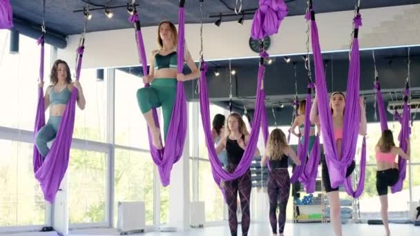 Een groep jonge vrouwen oefent in een schommel in de lucht. Luchtvliegen yoga oefeningen oefenen in paarse hangmat in fitness club. — Stockvideo