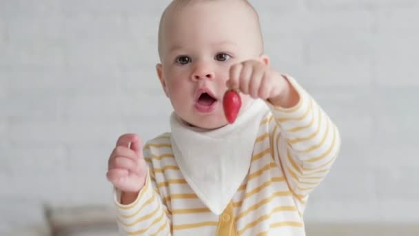 肖像画吃宝宝在家里。健康的食物，午餐时间。小孩做鬼脸，把红草莓放进嘴里 — 图库视频影像