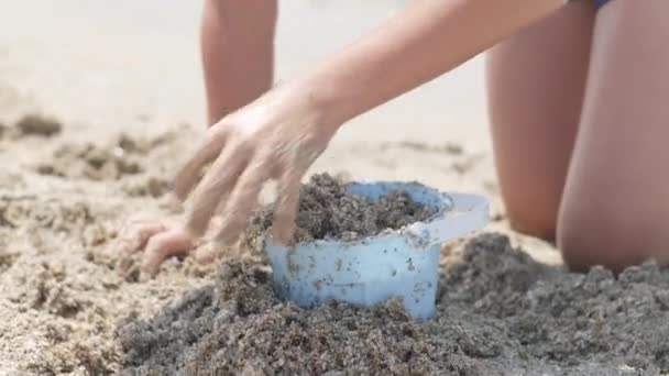 Petit garçon blond jouant avec le sable sur la plage océan mer. Bâtiment enfant maison château de sable. Vacances d'été en famille et voyages dans des pays chauds. — Video