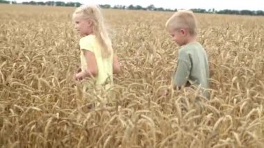 4 bin. Erkek ve kız kardeş buğday tarlasında yürüyor. Altın buğday kulakları rüzgarda hareket ediyor. Çiftçiler, ekinler, sonbahar hasadı