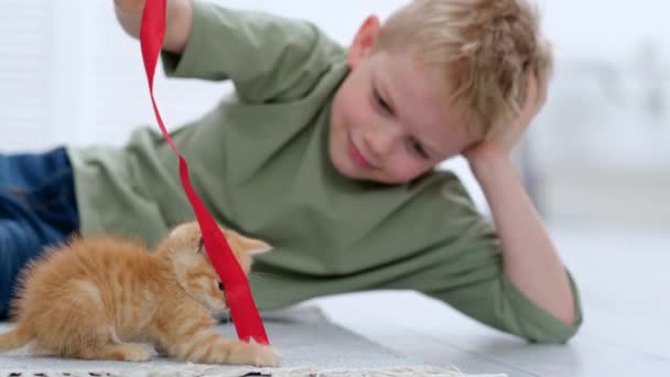 床の上の家で、生姜子猫の赤いリボンで遊んでいる男の子。子供と動物の友情、猫の友人とケア — ストック動画
