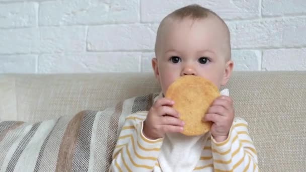 小孩做鬼脸吃好吃的大饼干.肖像画吃宝宝在家里。健康食品、午餐时间. — 图库视频影像