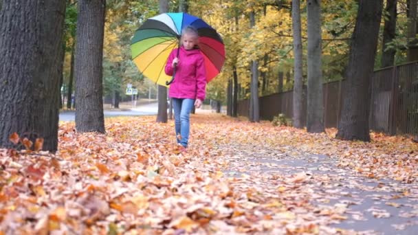 Маленькая девочка ходит с радужным зонтиком осень упал золотисто-оранжевый клен листья в парке — стоковое видео