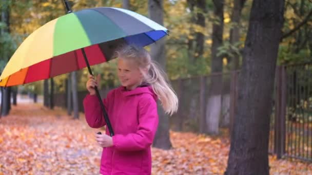 Маленькая девочка смеется играя, прядясь с радужным зонтиком осенью на упавших золотисто-оранжевых листьях клена в парке — стоковое видео