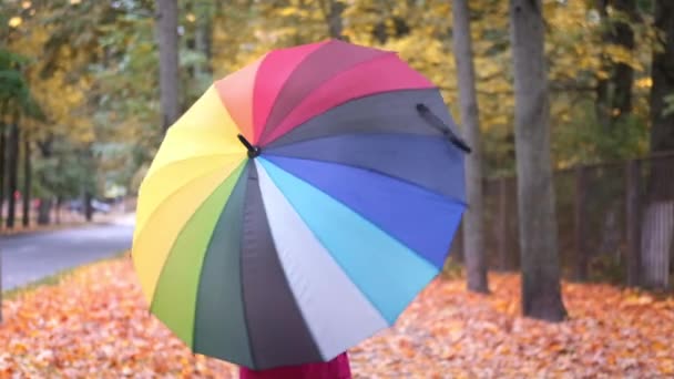 Niña riendo jugando, girando con el paraguas del arco iris otoño en hojas de arce naranja dorado caído en el parque — Vídeos de Stock