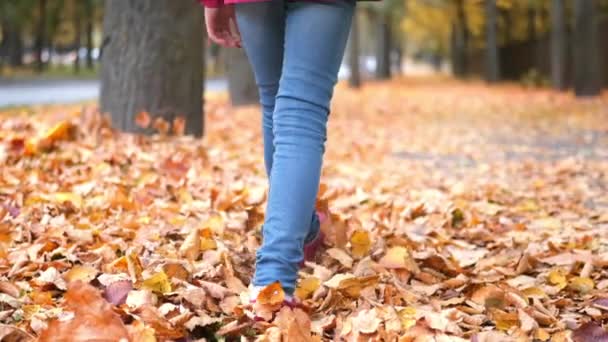 Achteraanzicht klein meisje wandelen met regenboog paraplu herfst gevallen gouden oranje esdoorn bladeren in park — Stockvideo