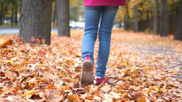 Вид сзади Маленькая девочка ходит с радужным зонтиком осень упал золотисто-оранжевый клен листья в парке — стоковое видео