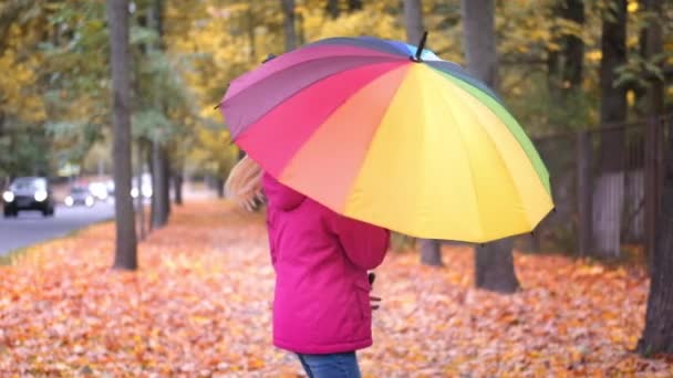 Mała dziewczynka śmieje się bawiąc się, wirując z tęczowym parasolem jesień na upadłych złotych pomarańczowych liściach klonu w parku — Wideo stockowe
