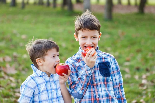 Little kids eating red fresh apple — Stock Photo, Image