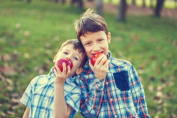 Happy little brothers eating apple in nature — Stock Photo, Image
