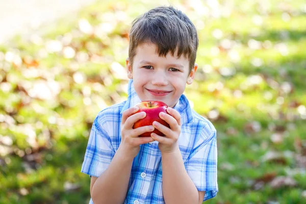 Little boy holding apple