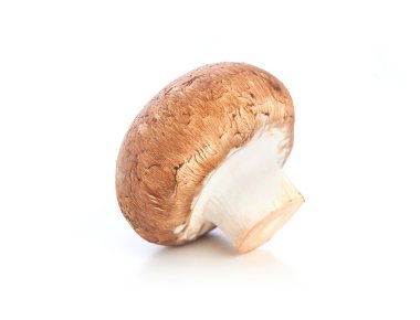 Beyaz arkaplanda şampiyon mantarı