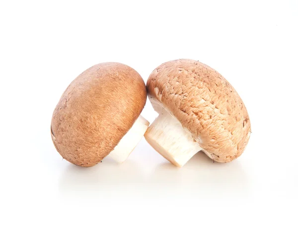 Champignon mushroom on white background Stock Photo