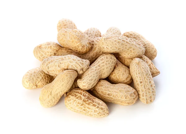 kurutulmuş portre fıstık