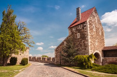 Budapeşte kale manzarası