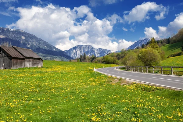 Paysage idyllique dans les Alpes au printemps avec chalet de montagne traditionnel et pâturages verts frais avec des fleurs florissantes en belle lumière du soir au coucher du soleil — Photo