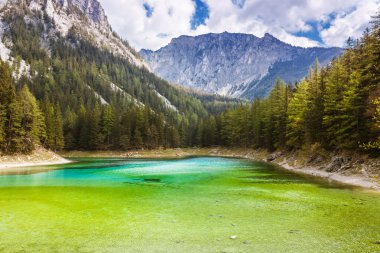 Huzurlu dağ manzaralı göl, Avusturya