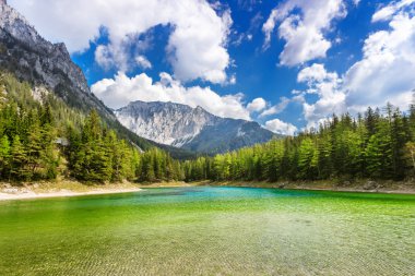 Huzurlu dağ manzaralı göl, Avusturya