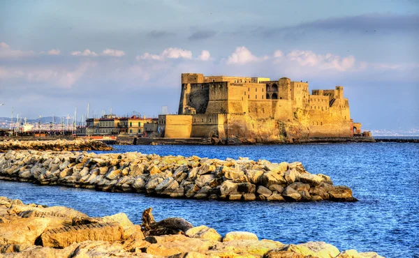 Castel dellOvo, una fortaleza medieval en la bahía de Nápoles —  Fotos de Stock