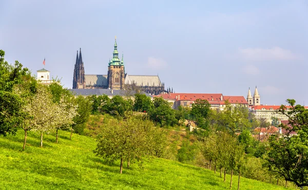 Utsikt över Pragborgen - Tjeckien — Stockfoto