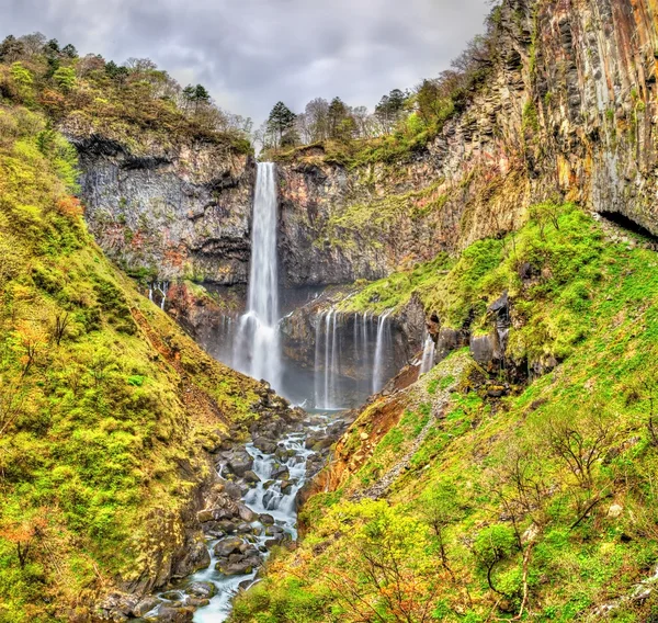 Kegonskolan Falls, en av högsta vattenfall i Japan — Stockfoto